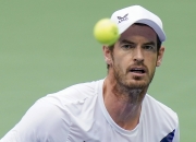 爱游戏大厅-日本网球队轻取世界网球队，穆雷高光表现