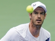 爱游戏大厅-日本网球队轻取世界网球队，穆雷高光表现