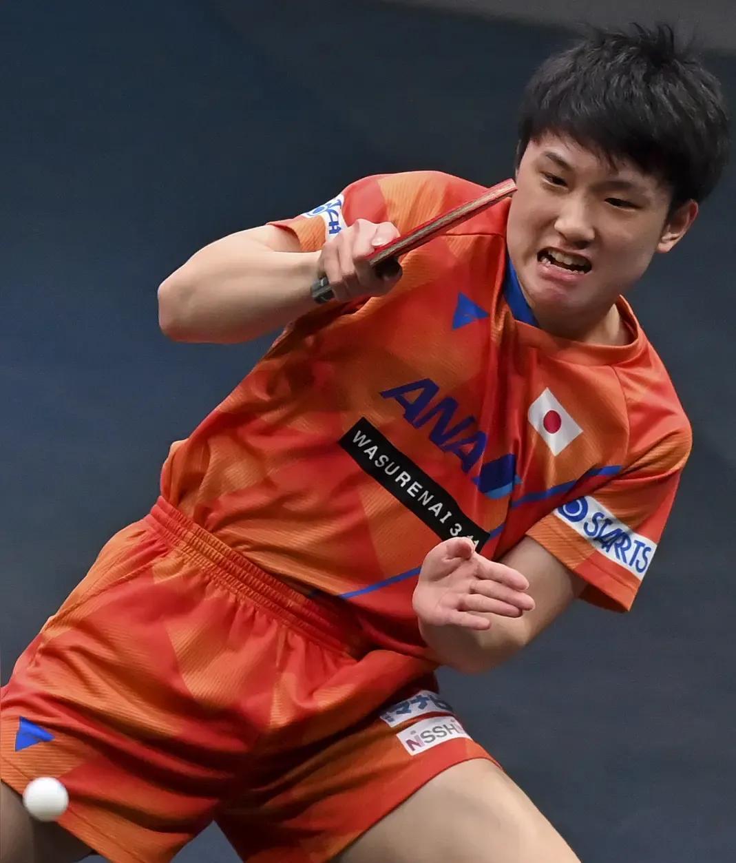 瑞典队鏖战韩国队，张本智和统治全场