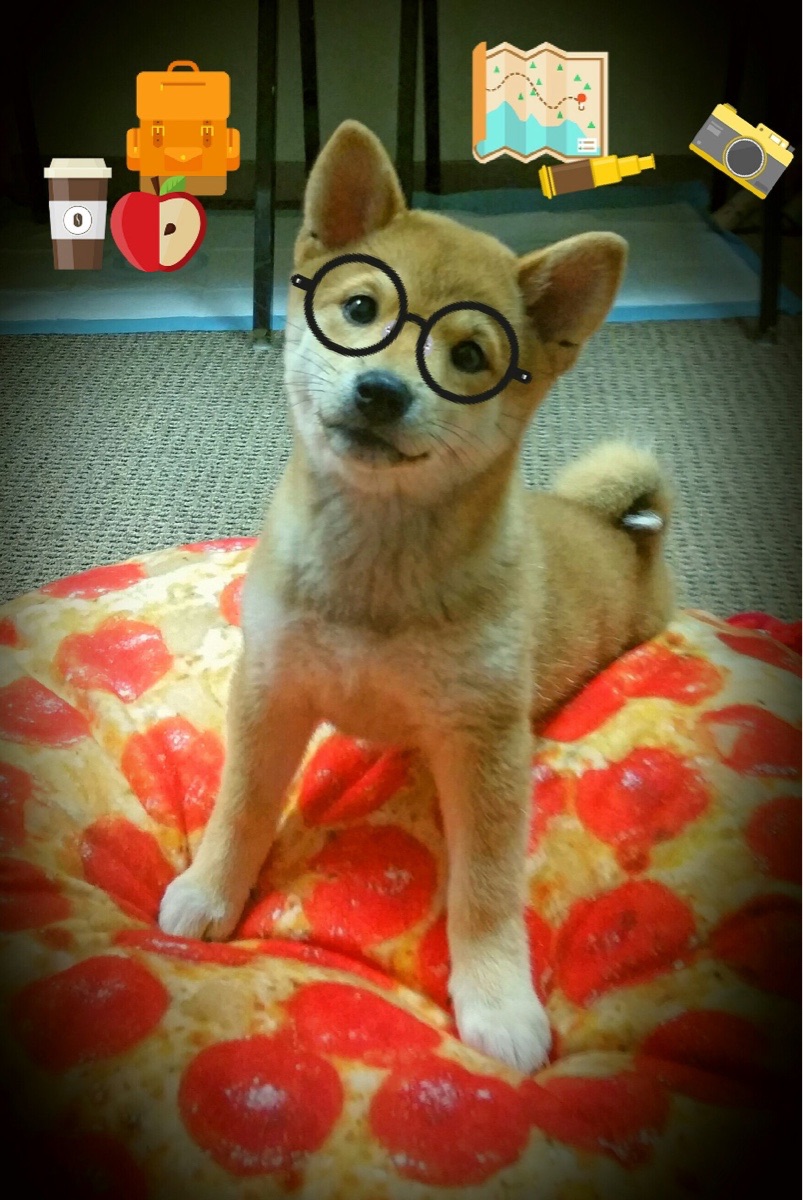 波兰铁壁难阻红蓝韵律,努涅斯终成巴萨节奏掌控者